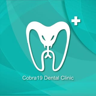 PT. Cobra Sembilan Belas