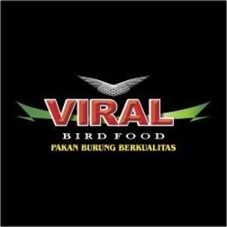 Viral Bird Food Semarang